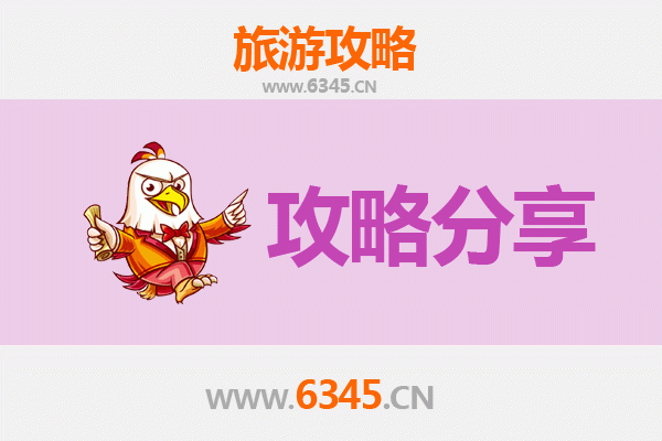 驻马店上蔡至湄洲岛旅游攻略：跟团还是自由行选择指南